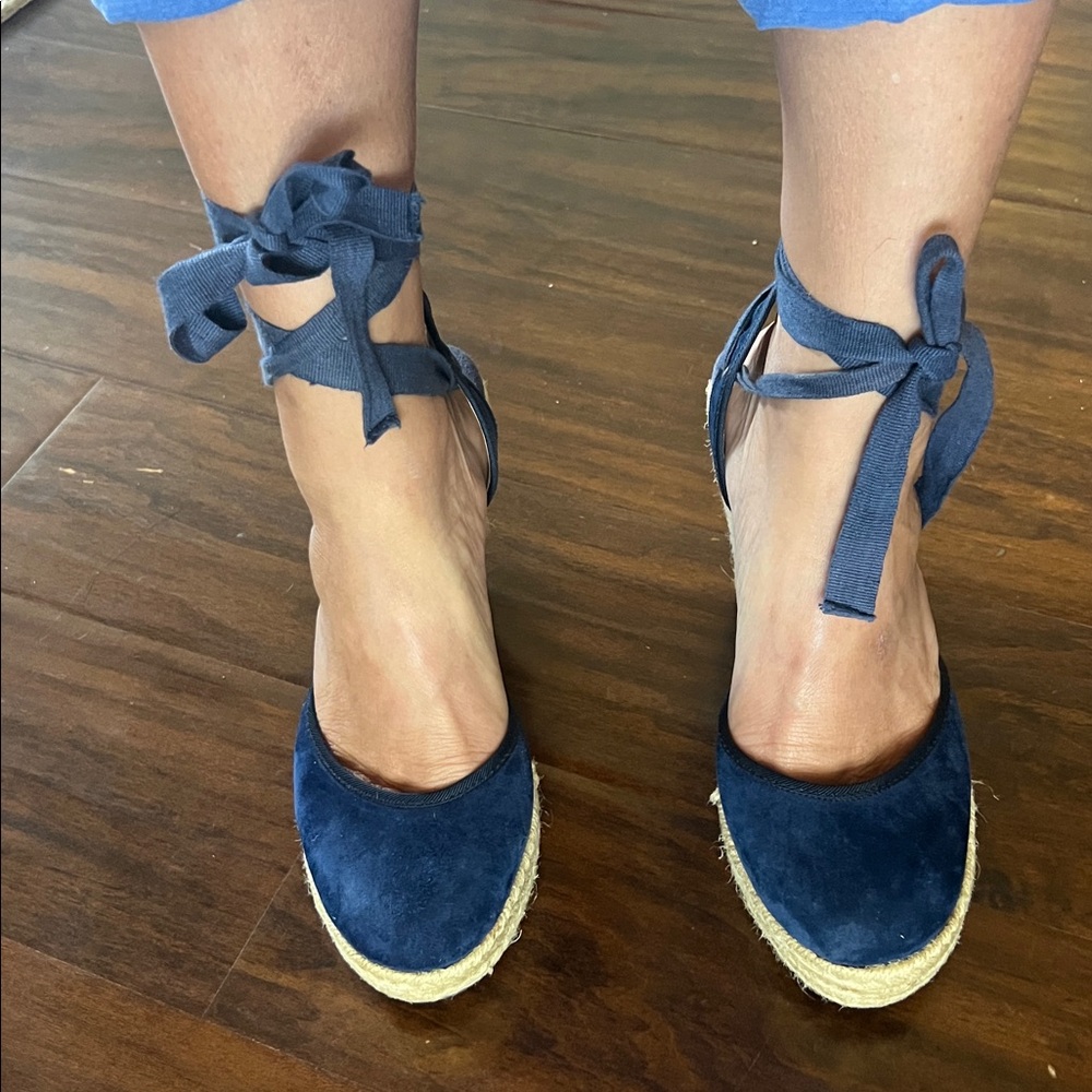 Charles David Navy Blue Wedges
